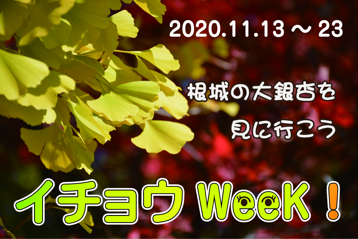 イチョウWeeK!